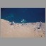 Satellite Pictures - Dubai, Palm Island Resort (3032x2008).jpg